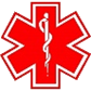 Medical Alert Badge