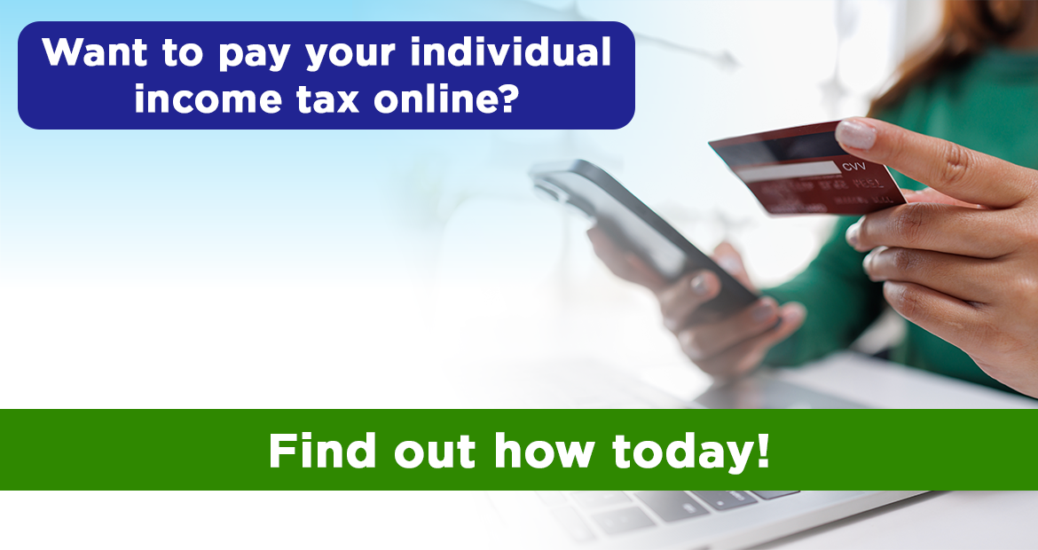 Pay online individual income tax