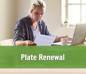 Plate Renewal