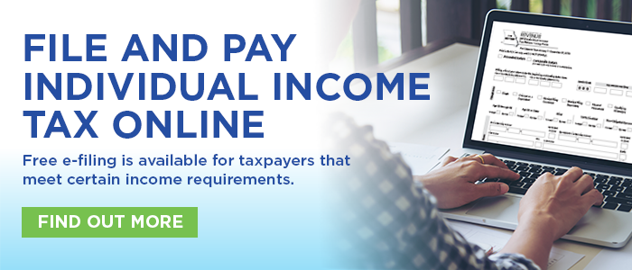 File and Pay Individual Income Tax Online