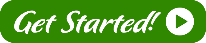 Missouri Return Inquiry System Get Started button